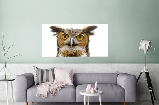 Poster Chouette - Vogel - Portrait - 120x60 cm