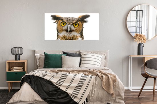 Poster Chouette - Vogel - Portrait - 120x60 cm