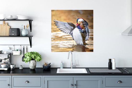 Affiche Canard - Animal - Water - Automne - 75x75 cm