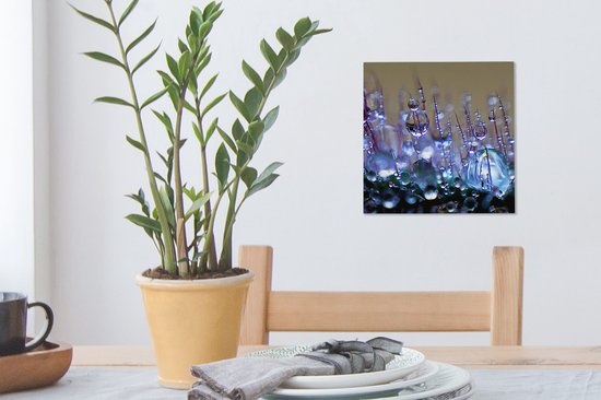 Tableau sur toile A close up early rosée - 20x20 cm - Décoration murale Art