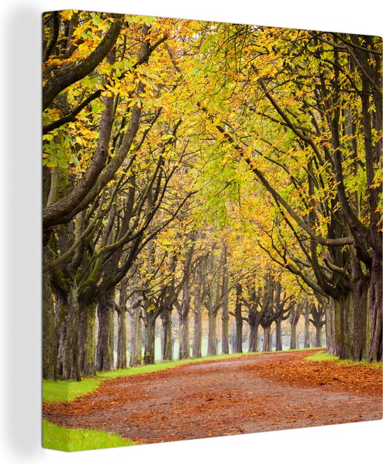 Tableau sur toile Châtaigniers en automne - 20x20 cm - Décoration murale