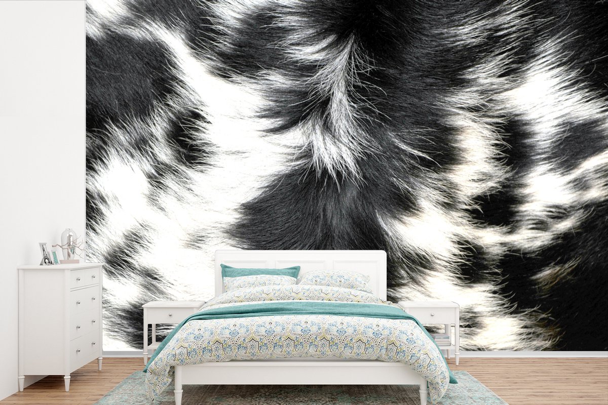 Behang - Fotobehang De koeienhuid van een longhorn koe - Breedte 330 cm x hoogte 220 cm op Prijzenvolger.com