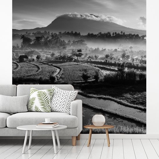 Papier peint Papier peint photo en vinyle - Rizières de Tirtagangga à Bali en Indonésie - noir et blanc largeur 220 cm x hauteur 220 cm - Tirage photo sur papier peint (disponible en 7 tailles)
