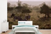 Behang - Fotobehang Mistige ochtend in het Krugerpark in Zuid-Afrika - Breedte 390 cm x hoogte 260 cm