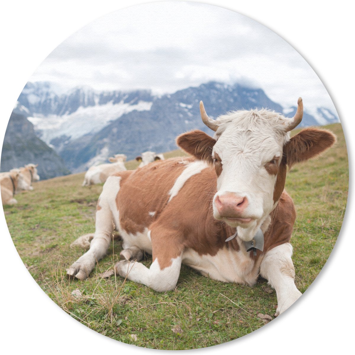 Muismat rond 40x40 cm - Mousepad Koeien - Weide - Alpen - Ronde muismatten