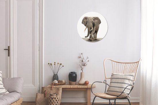 Cercle mural - Cercle mural Indoor - ⌀ 30 cm - Plastique - Animaux - Éléphant - Grijs