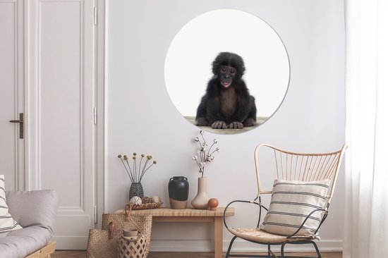 Cercle mural - Aluminium - Animaux - Chimpanzé - Bébé - ⌀ 140 cm