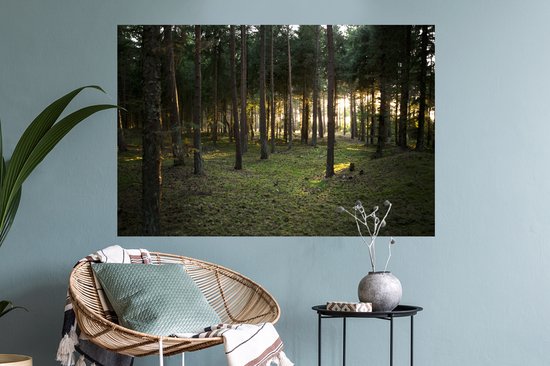 Sticker Muursticker Forêt - Soleil qui brille à travers les arbres de la forêt - 90x60 cm - feuille autocollante - sticker mural repositionnable