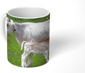 Mok - Koeien - Dieren - Natuur - 350 ML - Beker