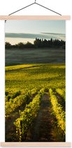 Posterhanger incl. Poster 60x120 cm - Schoolplaat - Toscane - Landschap - Wijn - Textielposter - Blanke latten