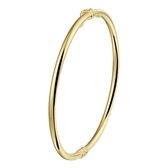 Bangle Scharnier Ronde Buis 3 X 60 Mm