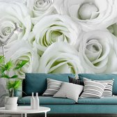 Zelfklevend fotobehang -  Rozen van Satijn in groen wit  , Premium Print