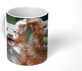 Mok - Twee honden spelen met bal - 350 ML - Beker