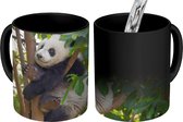 Magische Mok - Foto op Warmte Mokken - Koffiemok - Panda - Dier - Boom - Magic Mok - Beker - 350 ML - Theemok