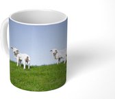 Mok - Twee lammetjes die zich op een grasdijk bevinden - 350 ML - Beker