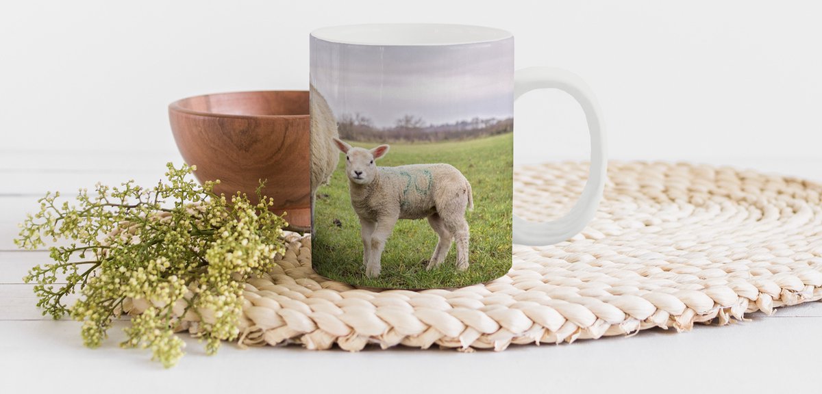 Mok - Koffiemok - Schapen - Boerderijdieren - Portret - Mokken - 350 ML - Beker - Koffiemokken - Theemok