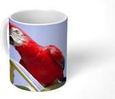 Mok - Ara zit op rietplant - 350 ML - Beker