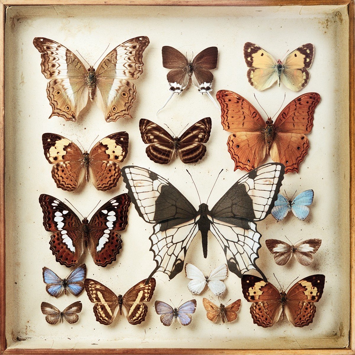 Emiliana Torrini - Rarities (2 CD)