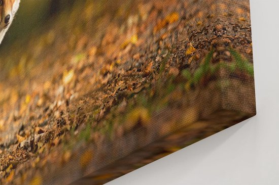 Artaza Peinture sur Toile Renard dans la Forêt d'Automne - 80x80 - Groot - Photo sur Toile - Impression sur Toile