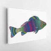 Canvas schilderij - Zentangle stylized color fish. Hand Drawn vector illustration. Books or tattoos with high details isolated on white background -     429258964 - 115*75 Horizont