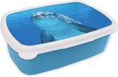 Broodtrommel Blauw - Lunchbox - Brooddoos - Dolfijn - Water - Blauw - 18x12x6 cm - Kinderen - Jongen