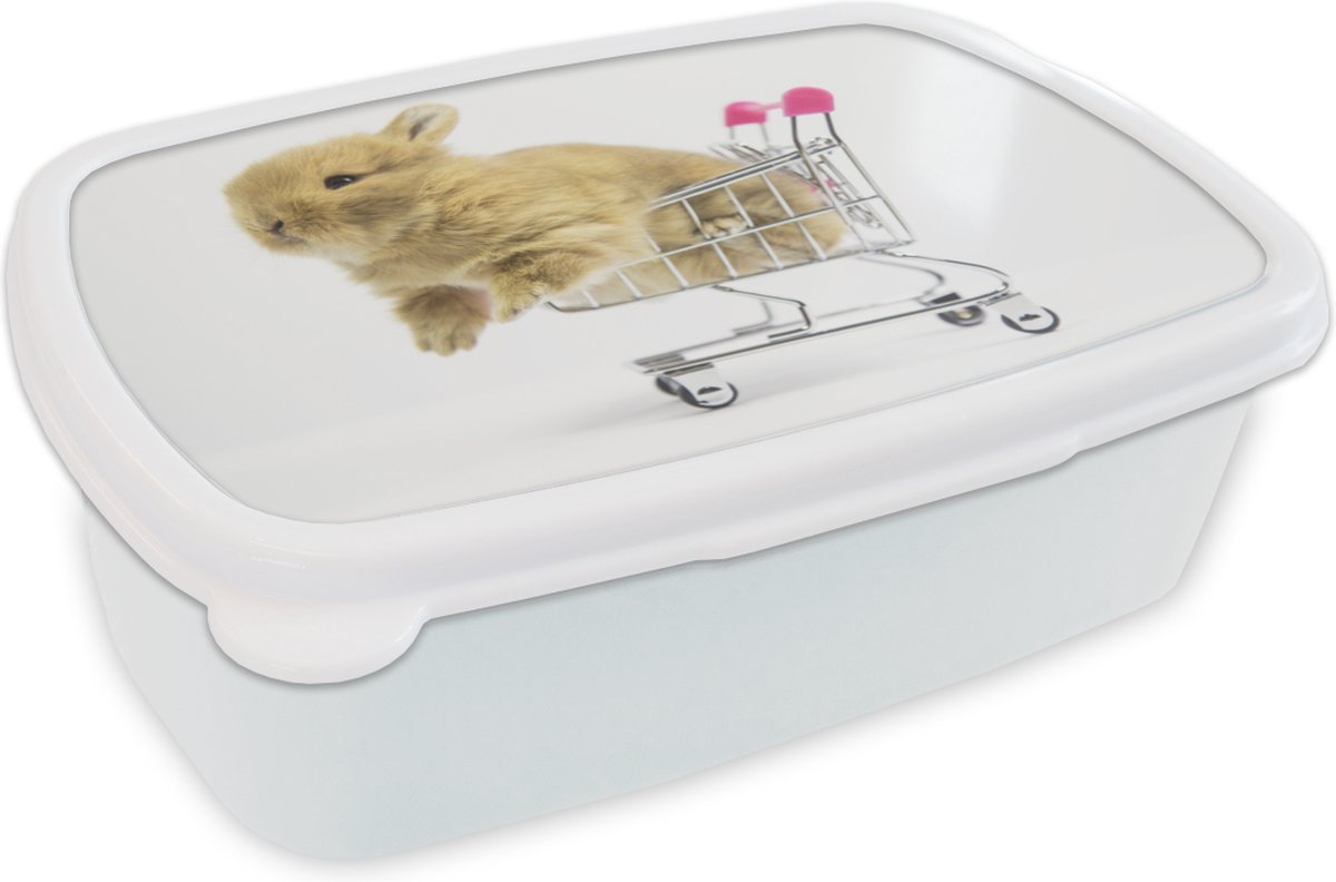 Broodtrommel Wit - Lunchbox - Brooddoos - Konijn - Baby - Wit - 18x12x6 cm - Volwassenen