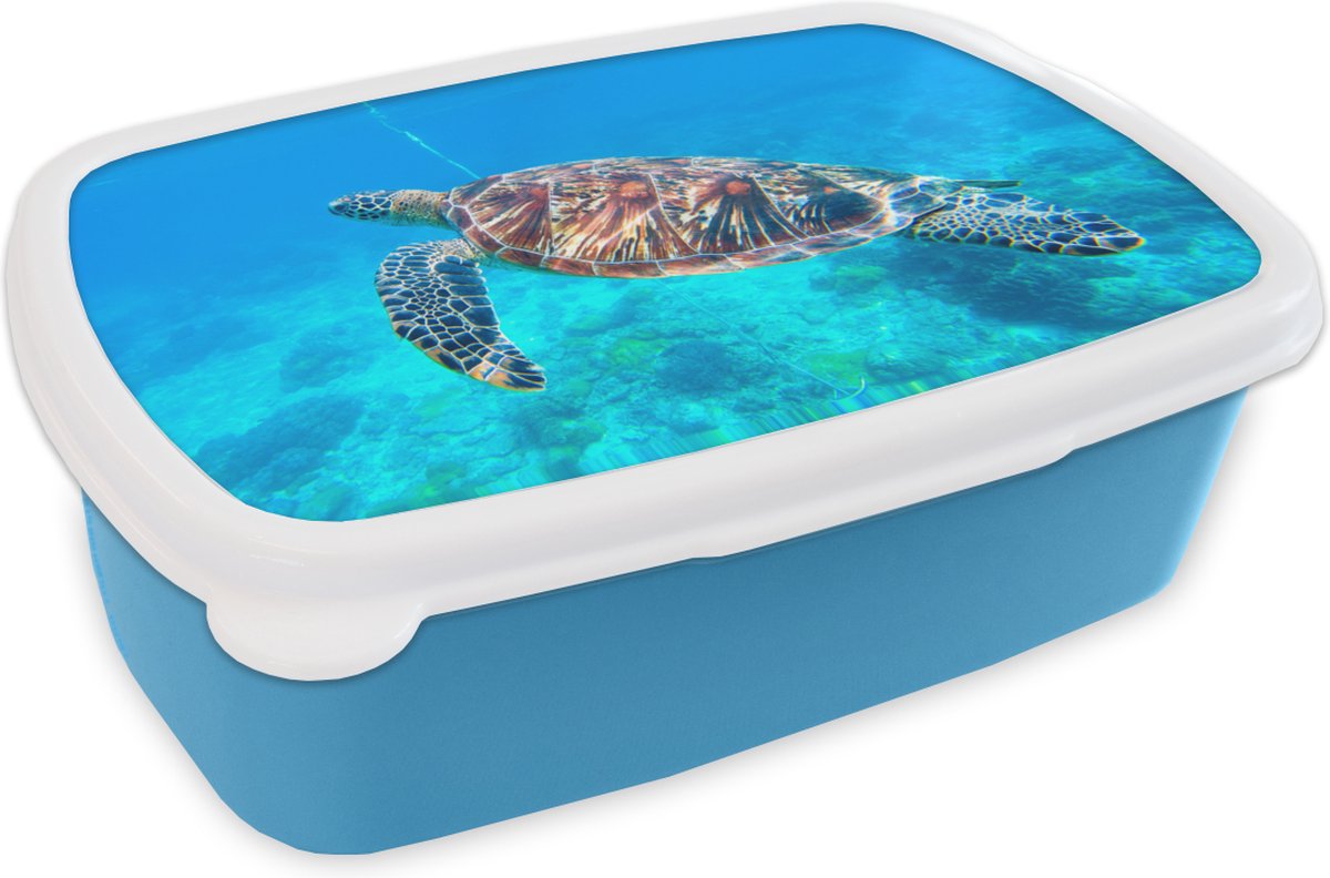 Broodtrommel Blauw - Lunchbox - Brooddoos - Schildpad - Zee - Blauw - 18x12x6 cm - Kinderen - Jongen