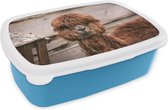 Broodtrommel Blauw - Lunchbox - Brooddoos - Alpaca - Dieren - Vacht - 18x12x6 cm - Kinderen - Jongen