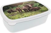 Broodtrommel Wit - Lunchbox - Brooddoos - Olifanten uit het bos - 18x12x6 cm - Volwassenen
