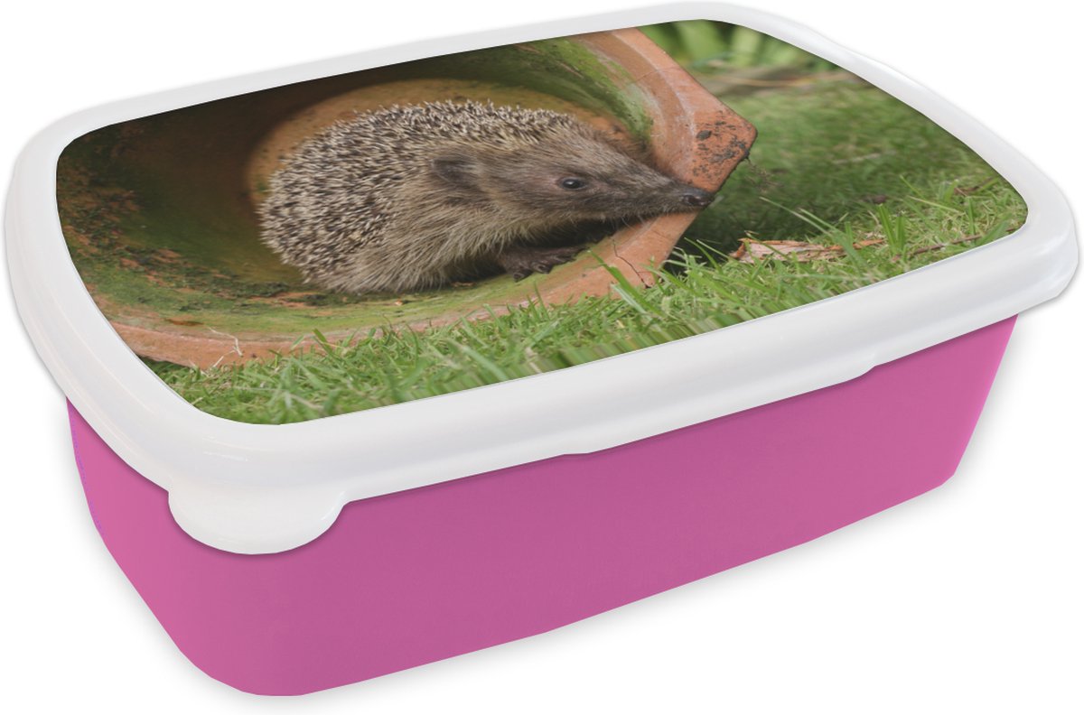 Broodtrommel Roze - Lunchbox - Brooddoos - Egel in een pot - 18x12x6 cm - Kinderen - Meisje