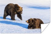 Bruine beren in de sneeuw Poster 90x60 cm - Foto print op Poster (wanddecoratie woonkamer / slaapkamer) / Wilde dieren Poster