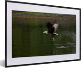 Fotolijst incl. Poster - Een Europese zeearend vliegt uit het water - 60x40 cm - Posterlijst