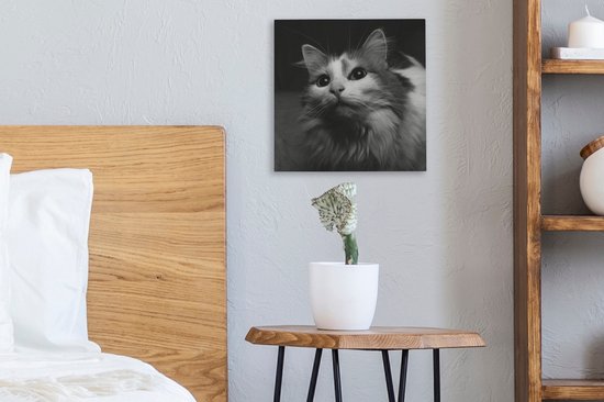 Tableau sur toile Profil animal chat en noir et blanc - 20x20 cm - Décoration murale