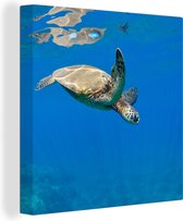 Canvas Schilderij Schildpad zwemmend in oceaan - 90x90 cm - Wanddecoratie