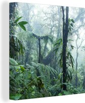 Canvas Schilderij Mistig regenwoud in Costa Rica - 90x90 cm - Wanddecoratie
