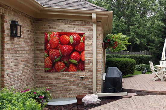 Chiffon de jardin Fraise - Fruit - Graines - 100x100 cm