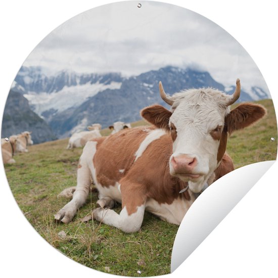Garden Circle Vaches - Prairie - Alpes - 120x120 cm - Affiche de jardin ronde - Extérieur XXL / Groot format !