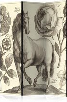 Vouwscherm - Paard 135x172cm , gemonteerd geleverd (kamerscherm), dubbelzijdig geprint