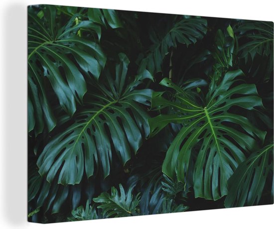 Canvas Schilderij Jungle - Blad - Groen - 30x20 cm - Wanddecoratie