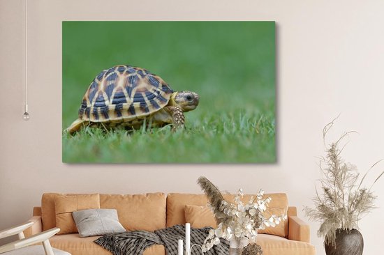 Canvas schilderij 180x120 cm - Wanddecoratie Schildpad op gras - Muurdecoratie woonkamer - Slaapkamer decoratie - Kamer accessoires - Schilderijen
