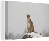 Cougar à l'affût Toile 30x20 cm - petit - Tirage photo sur Toile (Décoration murale salon / chambre) / Peintures Animaux