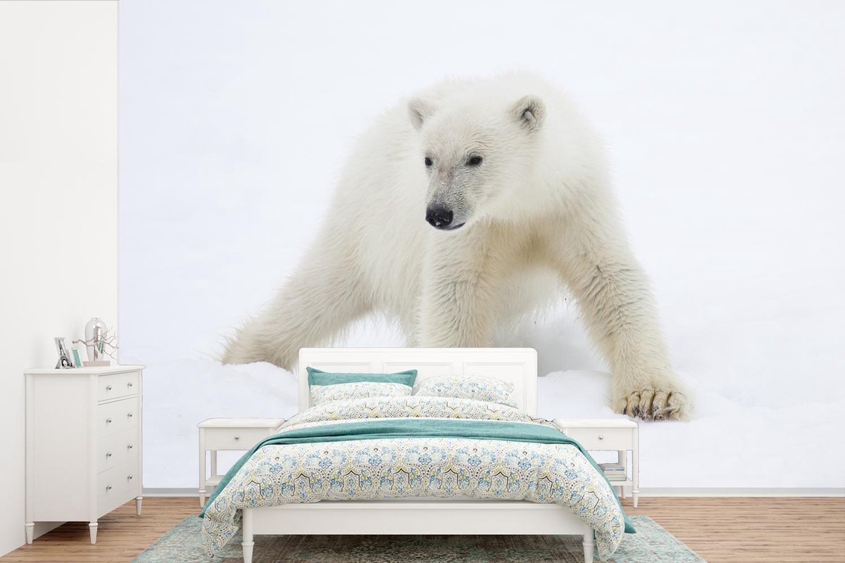Behang - Fotobehang Dieren - IJsbeer - Sneeuw - Breedte 450 cm x hoogte 300 cm