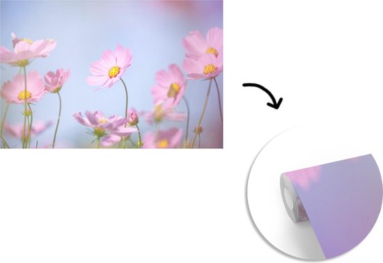 Papier Peint - Papier Papier peint photo Fleurs - Rose - Extérieur - Largeur 600 cm x Hauteur 400 cm