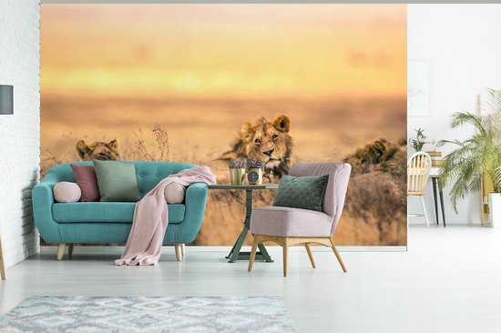 Papier peint photo vinyle - Lion et lionne couchés dans l'herbe largeur 420 cm x hauteur 280 cm - Tirage photo sur papier peint (disponible en 7 tailles)