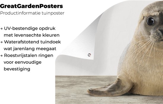 Affiche de jardin Phoque - Animaux - Enfant - Garçons - Filles - Enfants - 60x30 cm - Toile jardin - Affiche extérieure