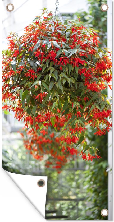 Tuinposter Hangplant met rode bloemen - 30x60 cm - Tuindoek - Buitenposter