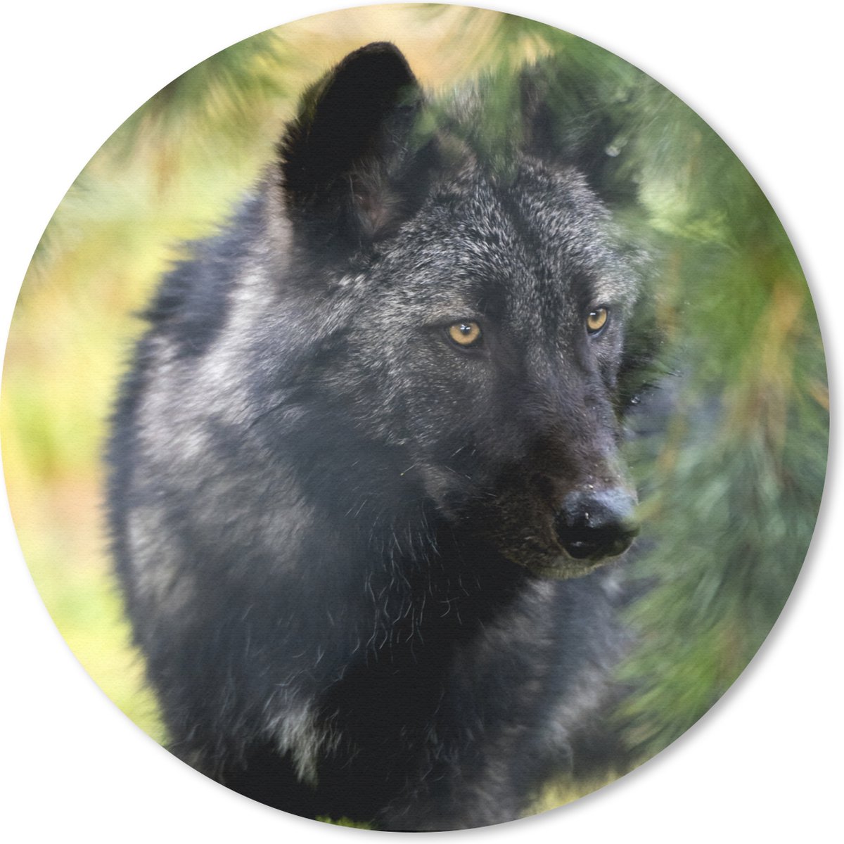 Muismat rond 30x30 cm - Mousepad Wolf - Macro - Bladeren - Ronde muismatten