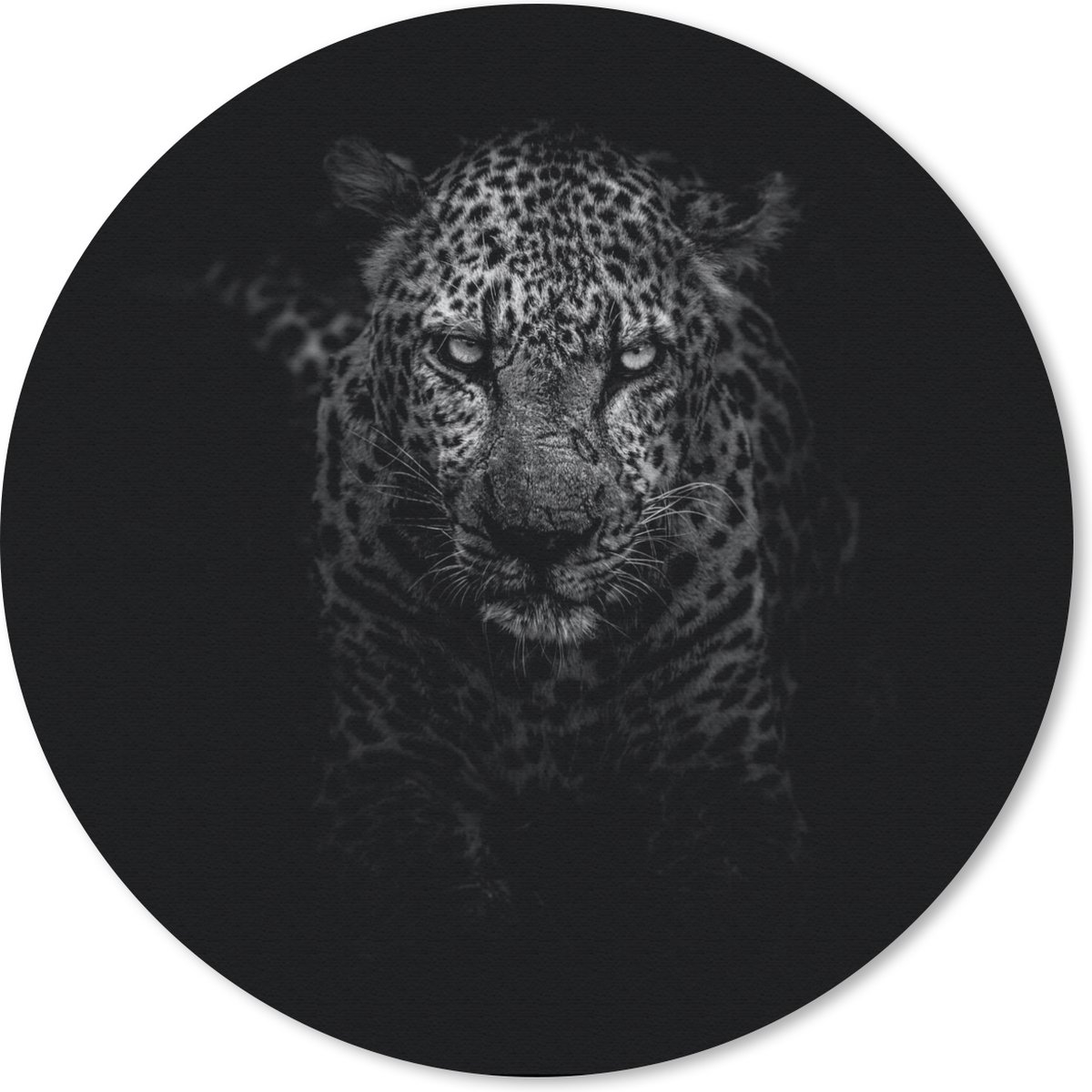 Muismat rond 20x20 cm - Mousepad Luipaard - Zwart - Wit - Ronde muismatten