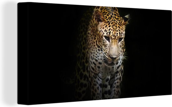 Canvas schilderij 160x80 cm - Wanddecoratie Luipaard - Reflectie - Zwart - Muurdecoratie woonkamer - Slaapkamer decoratie - Kamer accessoires - Schilderijen op canvas