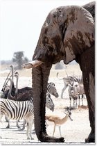 Trend24 - Canvas Schilderij - Dieren Op De Savannah - Elephant Zebras Struisvogels Antilopen - Schilderijen - Dieren - 60x90x2 cm - Bruin